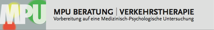 Verkehrspsychologie Frauke Sabine Streblow